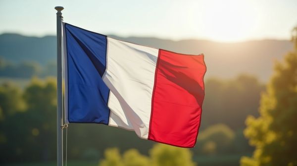 Comprendre les ordres nationaux : distinctions et récompenses citoyennes en France